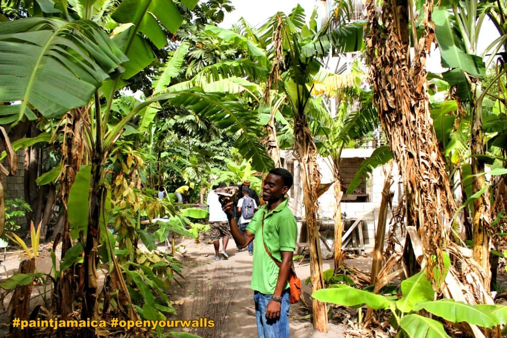 Organic Farm at Plant Jamaica