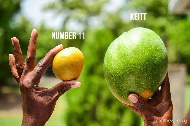 Mango Number 11 and Keitt